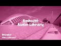 🎵 Divider - Chris Zabriskie 🎧 No Copyright Music 🎶 Ambient Music