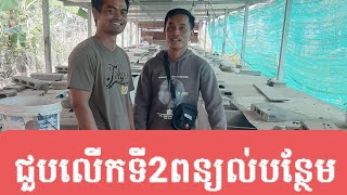 ចិញ្ចឹមកណ្ដុរបានហើយត្រូវតែមានក ន្លែងលក់ មានកណ្ដុរសាច់បងប្អូនអាចខលមកបាន067685496/0968853939