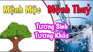 Mệnh Thủy có hợp với Mệnh Mộc hay không? @tuvibonmang