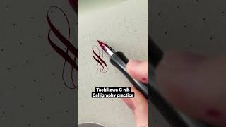 Calligraphy flourish practice! #calligraphy #satisfying #handwriting #oddlysatisfying