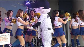 M☆Splash!!「THE YELLOW MONKEY - LOVE LOVE SHOW」Japanese baseball cheerleading squad