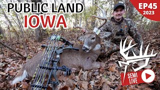 Iowa Public Land Rut Hunt