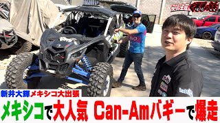 大出張坂戸店！メキシコ編🇲🇽希少車で新井大輝が激走！【くるまの話坂戸店】