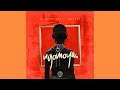 Dj Maphorisa & Xduppy, Kabza De Small - Abantwana Bakho (Official Audio) feat. Thatohatsi,Young…