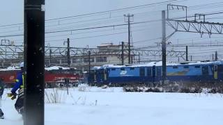 EF510がたくさん!東新潟機関区にて2012.2.10[HD]