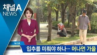 입추에도 폭염 여전…늦어지는 가을, 이유는?