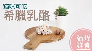 貓沙拉也要希臘風？丨麻糬貓奴鮮食料理 003