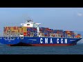 top 5 largest shipping companies. ტოპ 5 დიდი საზღვაო გადამზიდი კომპანია