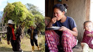 Himalayan buffalo herders of Nepal