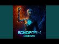 EchoForm
