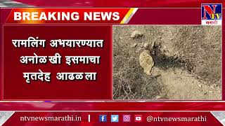 Breaking News : उस्मानाबाद तालुक्यातील येडशी येथील अभयारण्यात आढळला मृतदेह