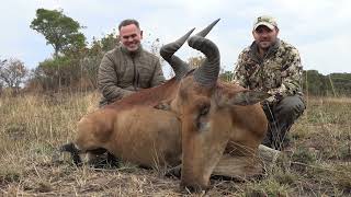 Hunting Lichtenstein's Hartebeest