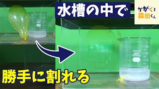 【実験】手を触れずに風船が割れる！？重曹とクエン酸を使ってできる魔法の実験【自由研究】