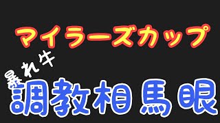 2021年【マイラーズカップ】暴れ牛の調教相馬眼