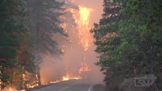 8-3-2021 Greenville, Ca Dixie Fire overruns crews with extreme fire behavior- massive flames