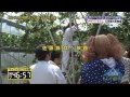 もっでっぞ山形1時間sp！