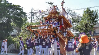 令和4年　藤井寺市東地区　北條だんじり　小屋前練りまわし　道明寺入魂式帰還後