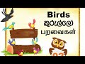 Birds Name - English - Sinhala - Tamil - Unit 02