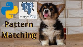 HOW TUTORIAL POSTGRESQL (psql) PYTHON | PATTERN MATCHING | psycopg2 | TIPS