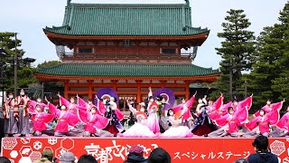 京炎そでふれ！文舞蘭 🎵狂桜楽 📍京都さくらよさこい (神宮道会場) 📅2022-04-02T12:24