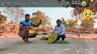 ଝୁନଗା ଆଉ ସେମି ଆଜି ଘରେ କେତେ ଟଙ୍କା ବିକିଲି ଦେଖ🥹#dailyvlog #farming #sambalpurivlog