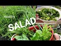 || HEALTHY SALAD  for your dinner || Cooking from my Garden