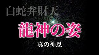 ※龍神の姿が見れたらとんでもない強運です⚠️良きご縁に次々と引き寄せられていくでしょう。もし逃したら二度とありません⛩白蛇弁財天 龍神の姿