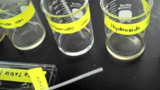 Making Ionic Compounds Experiment