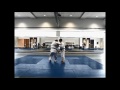 tachi waza techniques with transition to ne waza