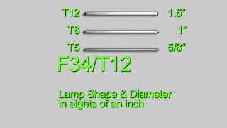 Choosing Fluorescent Tubes - T12 Example