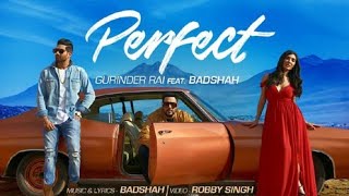 Perfect - Badshah Reggae vs Punjabi Dhol mix DJ SANJAY