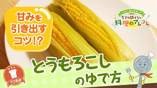 【プロ監修】vol.96とうもろこしのゆで方【料理の基本】