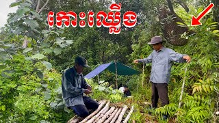 ទៅកាន់កោះថ្មីមួយទៀតឈ្មោះថាកោះព្រែកជ្រៃ បោះតង់នៅទីនោះផង The nice view of new island/Bong LaorTV