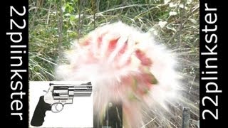.500 SMITH AND WESSON VS WATERMELON IN SLOW MOTION