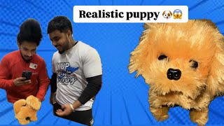 LITTLE LIVE PETS || REALISTIC PUPPY BRAMLEA CITY CENTRE BRAMPTON 🇨🇦||