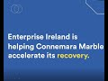 Connemara Marble - Sustaining Enterprise Fund