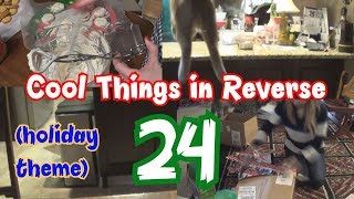 Cool Things in Reverse 24