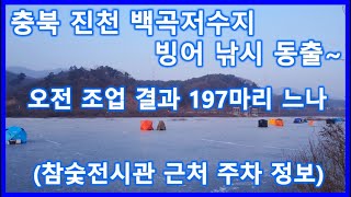 25년 시즌 3번째 빙어낚시 백곡저수지 오전 짬낚 197마리(주차장 정보 포함)