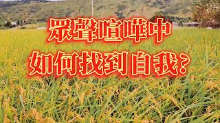 「在烏鴉的世界裡，天鵝是有罪的」- 眾聲喧嘩中，如何找到自我？