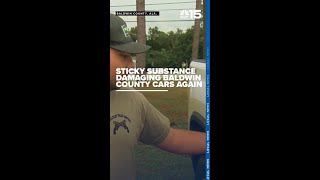 Baldwin Co. drivers baffled as mystery substance strikes again - WPMI NBC 15