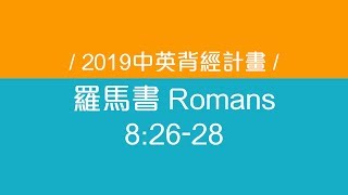 羅馬書 Romans 第八章26-28節│2019中英背經計畫