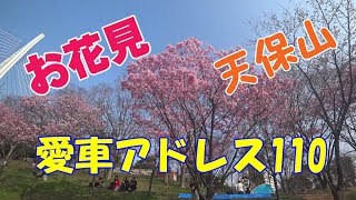 ◆バイクで花見【天保山に登る】恐怖の高～い橋をアドレス110で走ってみた！