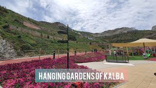 Exploring the Hanging Gardens of Kalba, Sharjah, UAE