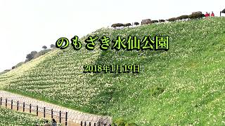 のもざき水仙公園 2022 10 01