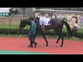 2023 03 26 中京競馬場　高松宮記念part1　パドックから馬場入場まで　メイケイエール・ナムラクレア・アグリ他