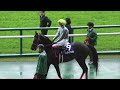 2023 03 26 中京競馬場　高松宮記念part1　パドックから馬場入場まで　メイケイエール・ナムラクレア・アグリ他