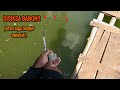 ASLI BABON‼️SPOT INI BENAR BENAR PENUH KEJUTAN || mancing ikan red devil NAHOL MANIA