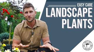 Best Low-Maintenance Plants for Kansas City (Zone 6)