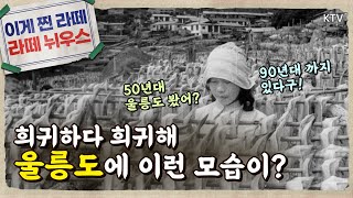 [온통 추억] 울릉도에 이런 모습이 있었다니! 시대별 울릉도 공개