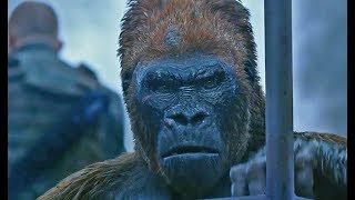 War for the Planet of the Apes | official trailer #4 (2017)